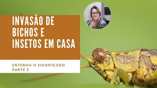 Invasão de bichos em sua casa - GAFANHOTO, LAGARTIXA E LOUVA-DEUS - Parte III