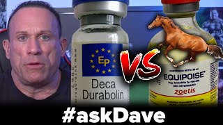 DECA vs. EQUIPOISE: Better MASS Builder? #askDave