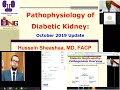 Pathophysiology of Diabetic Kidney Disease 6 October 2019 Update  Prof  Hussein Sheashaa