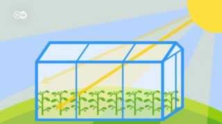What is the greenhouse effect? | Global Ideas