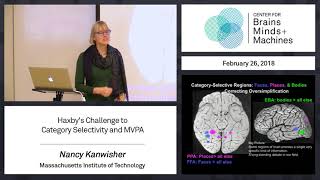 4.4 - Haxby's Challenge to Category Selectivity and MVPA