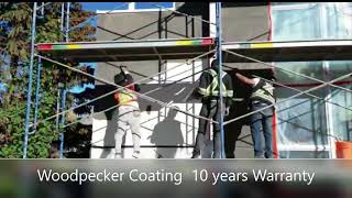 Woodpecker Repair Calgary