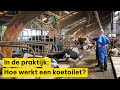 Mineralen uit drijfmest gerichter inzetten met koetoilet