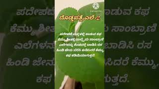 ದೊಡ್ಡಪತ್ರೆ ಎಲೆಯ ದೊಡ್ಡ ಗುಣ #shorts #shortvideo #subscribe #viral #shortsfeed#health #HACK