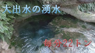 【湧き水】【癒しの音】【高い透明度】大出水の湧水　鹿児島県霧島市