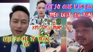 Luật sư N11 TV TRẠNG GIA xét sử đoàn v,ăn báo theo luật đại tống khi phá minh tuệ