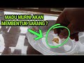 CARA MEMBEDAKAN MADU KLANCENG MURNI DAN ASLI LANGSUNG DARI SARANGNYA