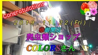 ㊗御開店 爬虫類ショップCOLORSさんに行ってきました♬