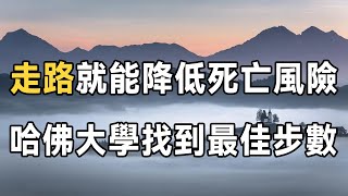 走路就能降低死亡風險，哈佛大學找到了最佳步數！ 震驚了幾億人，現在知道還不晚 | 佛禪