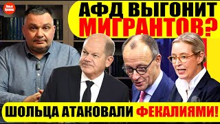 🔥 АфД ВЫГОНИТ МИГРАНТОВ? / ШОЛЬЦА АТАКОВАЛИ ФЕКАЛИЯМИ! #neuezeitentv