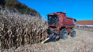 Case IH 2388 Hillside by B-Tec  mit Olimac Drago GT