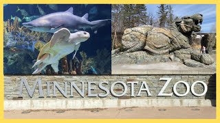 Minnesota Zoo Walk Tour Spring 2022 | Apple Valley, MN | Visit Minnesota