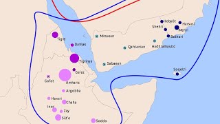 Semitic languages | The similaries between Hebrew, Amharic, and Arabic.