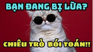 Những sự thật THÚ VỊ về Bói toán | Tại sao thầy bói luôn ĐÚNG?