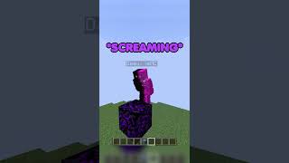 Talking Isnt Allowed Here Shorts Minecraft Minecraftshorts