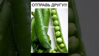 ОТПРАВЛЯЙ ДРУГУ!      #рекомендации #глобальныерекомендации #отправьдругу #другу