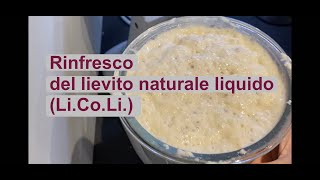 Rinfresco lievito naturale liquido (LiCoLi)