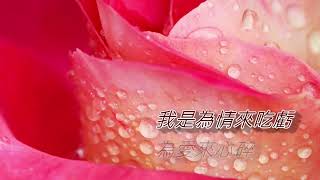 風醉雨也醉