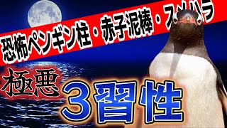 ペンギン好きは絶対に見るなっ！ペンギンの極悪３習性