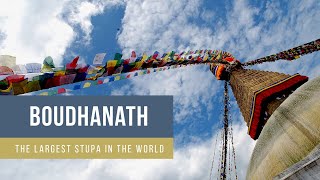 BOUDHANATH stupa ( the largest stupa in the world ) Nepal 🇳🇵!!