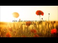 Flor de Amapola- letra