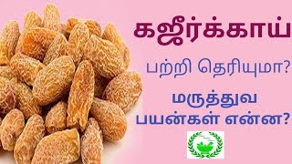 கஜீர்க்காயின் சிறந்த மருத்துவ பயன்கள் மற்றும் குணங்கள் | kalai siddha clinic