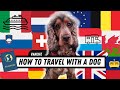 How to travel with your dog from UK to Europe | Vanlife Edition