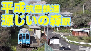 桜満開〜平成筑豊鉄道源じいの森駅