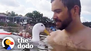 Guy Is The World's Best Duck Dad | The Dodo