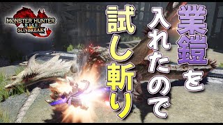 【MHRise:SB】：業鎧を入れて属性攻撃をUP『LV300リオレイア』ウデが問題