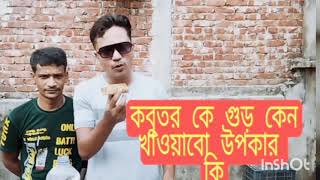 কবুতর কে গুড় খাওয়ালে উপকার কি