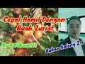 Manfaat Buah Zuriat Untuk Promil.PeKa Channel