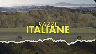 RAZZE ITALIANE : CAVALLO TOLFETANO (17/12/2023)