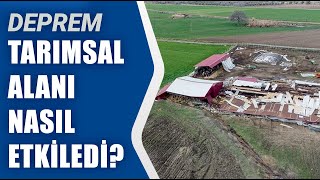 Deprem Tarımsal Alanı Nasıl Etkiledi? | Agro Tv Haber