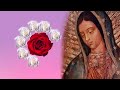 el santo rosario de hoy domingo 19 de enero 2025 🌹 misterios gloriosos 🌹 oración de hoy