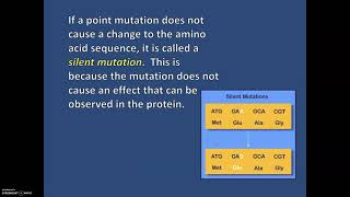 6E Mutations
