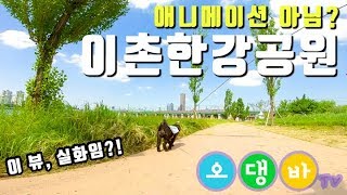 #0006  한강에 이런 뷰가? 이촌 한강공원!