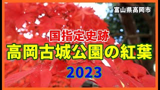 【🍁散策物語】国指定史跡「高岡古城公園」の紅葉 2023   ～富山県高岡市～