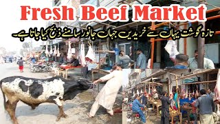 Fresh beef market in shahdara lahore | fresh meat market