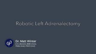 Robotic Left Adrenalectomy - Dr Winter