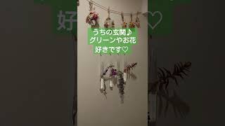 うちの玄関♪グリーンやお花♡ 　Welcome to my home.Entrance with flowers and plant .