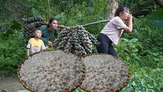 5 days of fruit harvesting, animal care and processing wild fruits into food, SURVIVAL ALONE 2