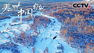 《美丽中国自然》 大兴安岭的冬雪来势汹汹 仿佛可以遮蔽世间万物 大兴安岭系列【CCTV纪录】