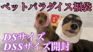 【2023年犬の福袋】ペットパラダイスの福袋が超お得でやばい！【ミニチュアダックスフンド/チワックス】