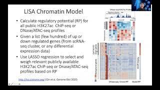 STAT115 Chapter 13.6 Infer TF from Differential Genes Using LISA