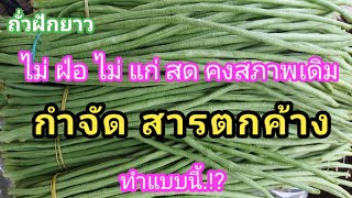 ถั่วฝักยาว วิธีลด อันตราย💥จากสารตกค้าง ทำให้สดคงสภาพเดิม ทุกคนทำได้ สาระดีๆ