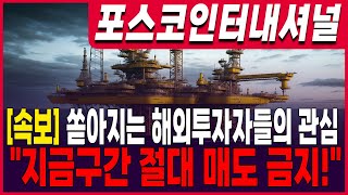 ♦️[포스코인터내셔널 주식 전망]♦️ 속보! 쏟아지는 해외투자자들의 관심!! \