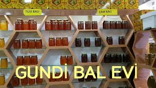 GUNDİ BAL EVİ