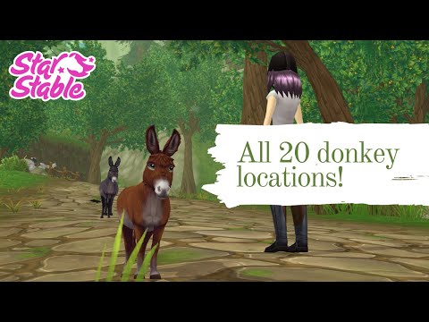 ALL 20 DONKEY LOCATIONS  Star Stable Online