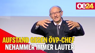 Aufstand gegen ÖVP-Chef Nehammer immer lauter